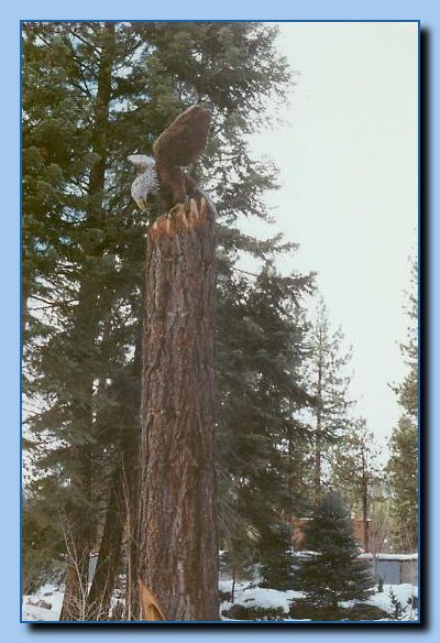 2-39 eagle attached-archive